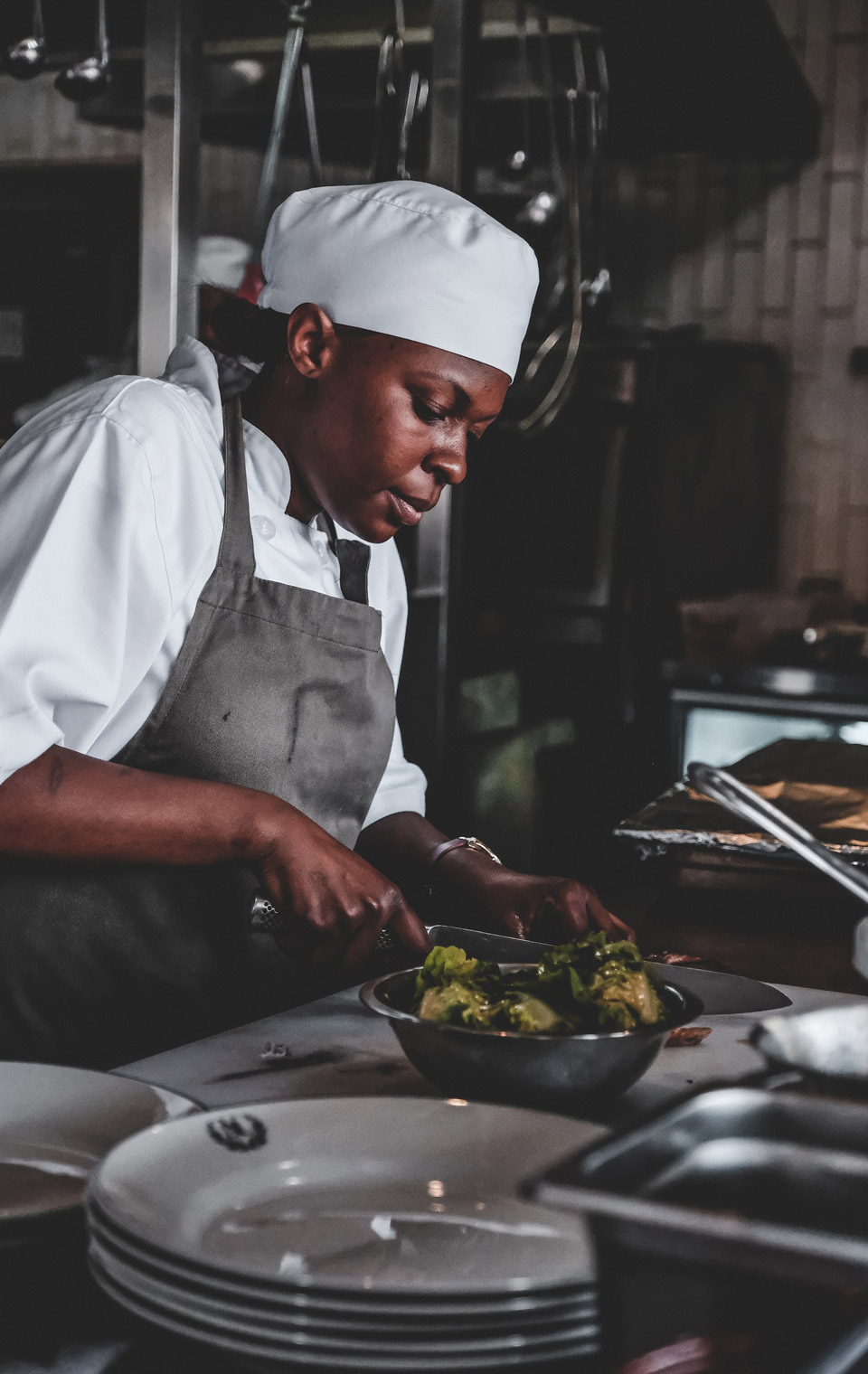 Restaurant’s culinary portfolio showcasing gourmet creations